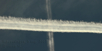 070803-chemtrails_097.jpg